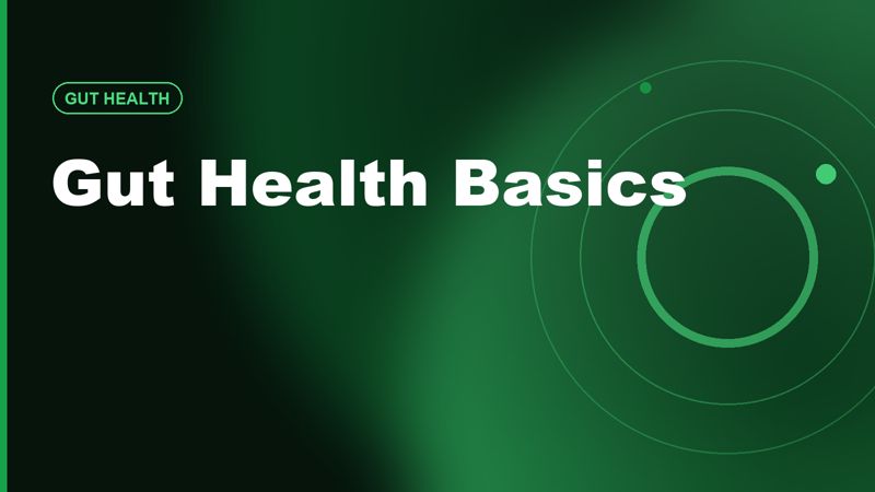 Gut Health Basics: Fiber, Fermented Foods, and What Not to Overthink